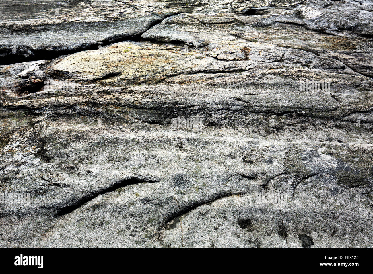 Scanalature glaciale in granito roccia, eredità dell'età di ghiaccio sulla cima di Mt. Cardigan vicino a Grafton, New Hampshire. Foto Stock
