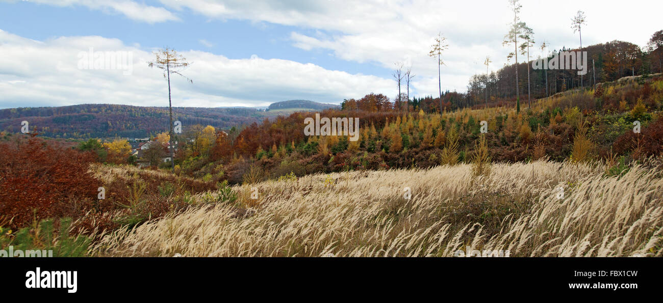 Vista panoramica di un paesaggio autumnally Foto Stock
