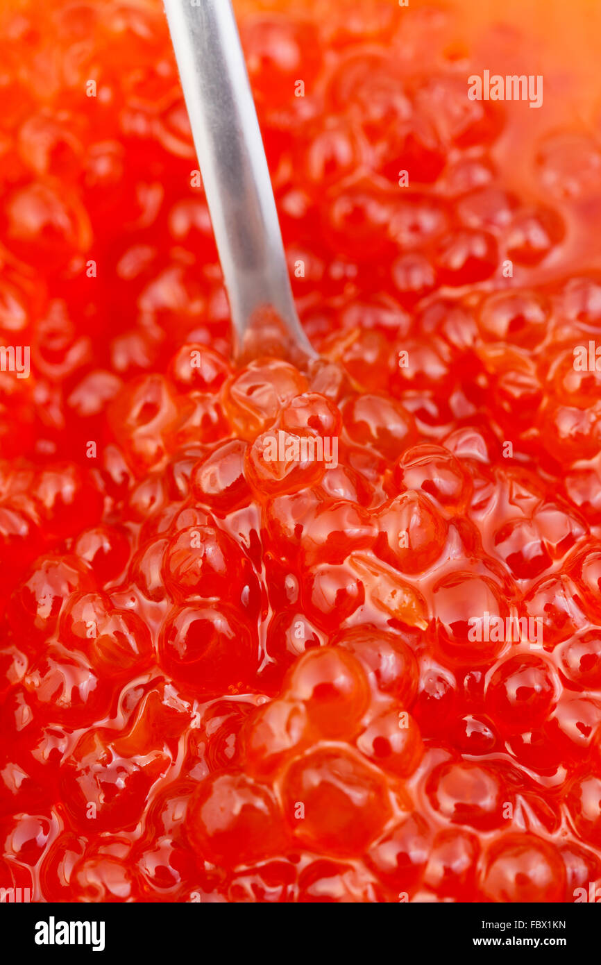 Cucchiaio in blueback salmone salato caviale rosso close up Foto Stock