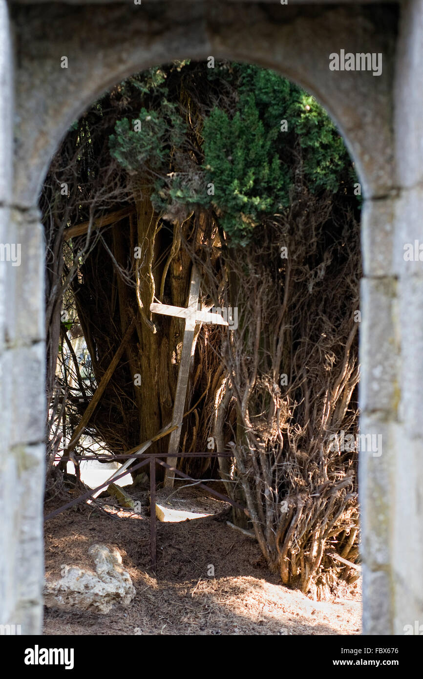 Vecchia croce di legno e l'albero di Yew nel cimitero di Civaux. Foto Stock