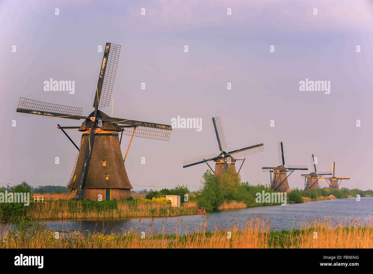 I famosi mulini a vento a Kinderdijk, South Holland, Paesi Bassi Foto Stock