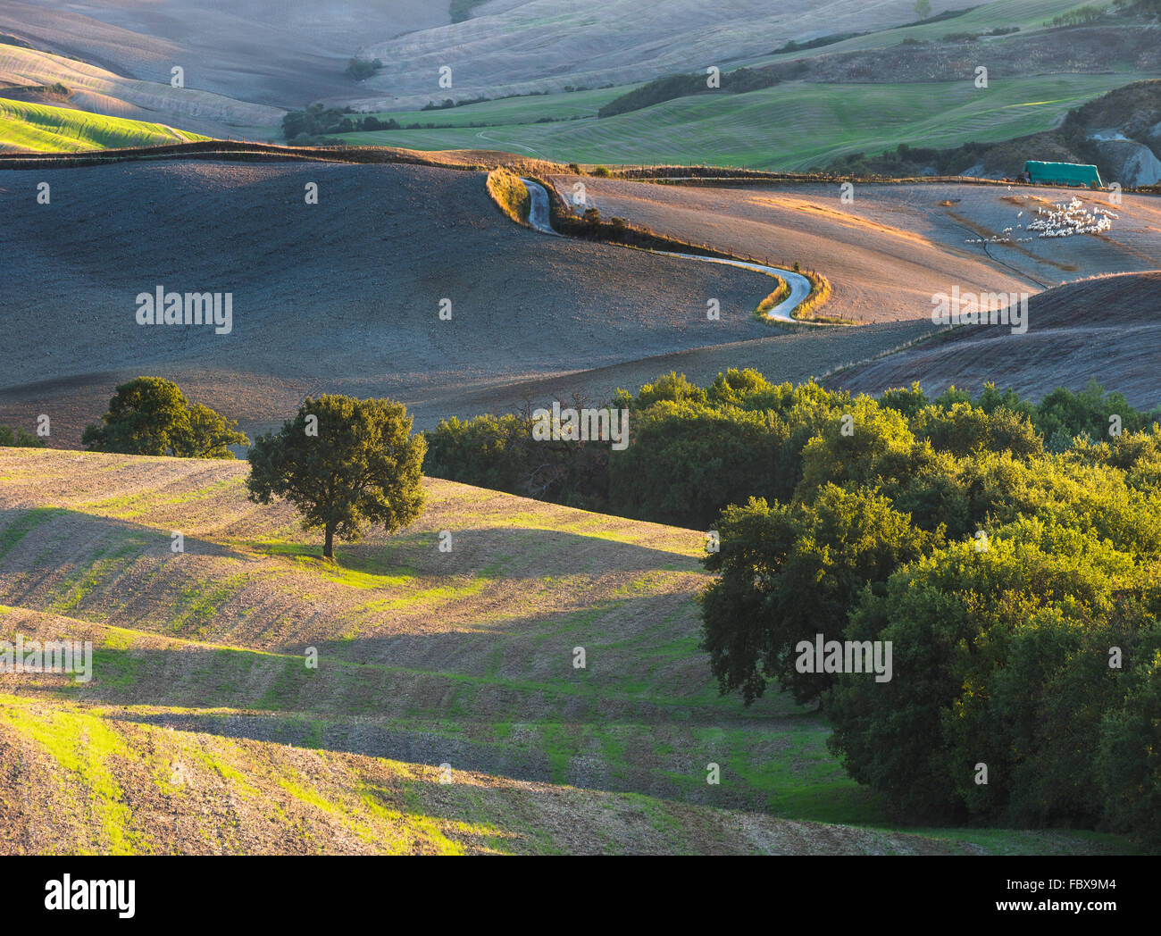 Il paesaggio toscano il Parco Nazionale della Val d'Orcia, patrimonio UNESCO Foto Stock