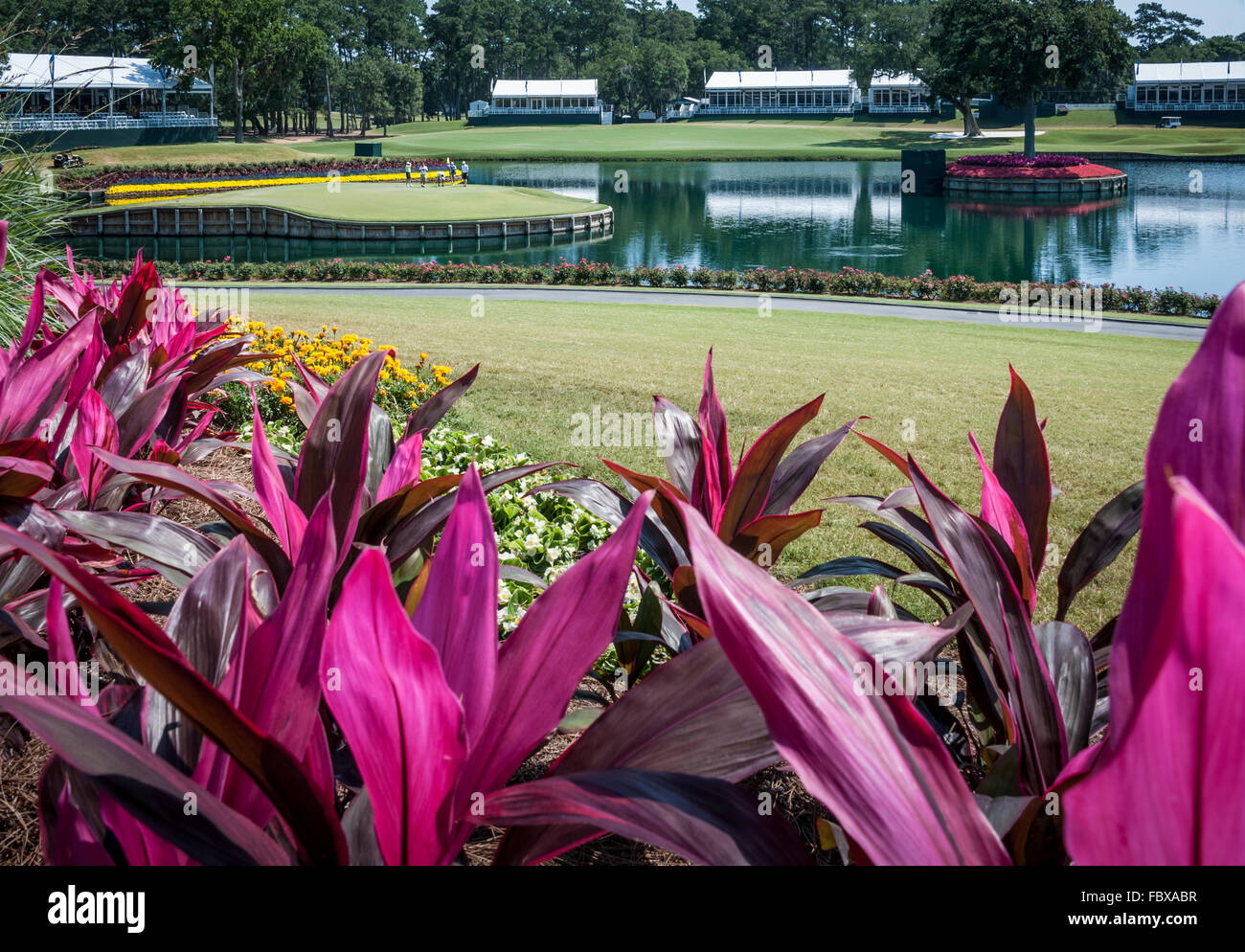 TPC Sawgrass, casa dei protagonisti del campionato, al leggendario diciassettesimo verde del corso dello stadio a Ponte Vedra Beach, Florida. Foto Stock