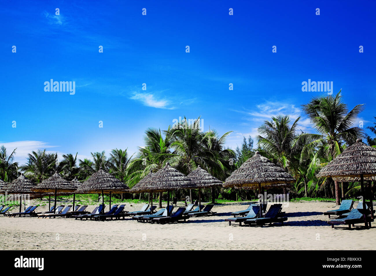 Spiaggia tropicale con Palm tree Foto Stock