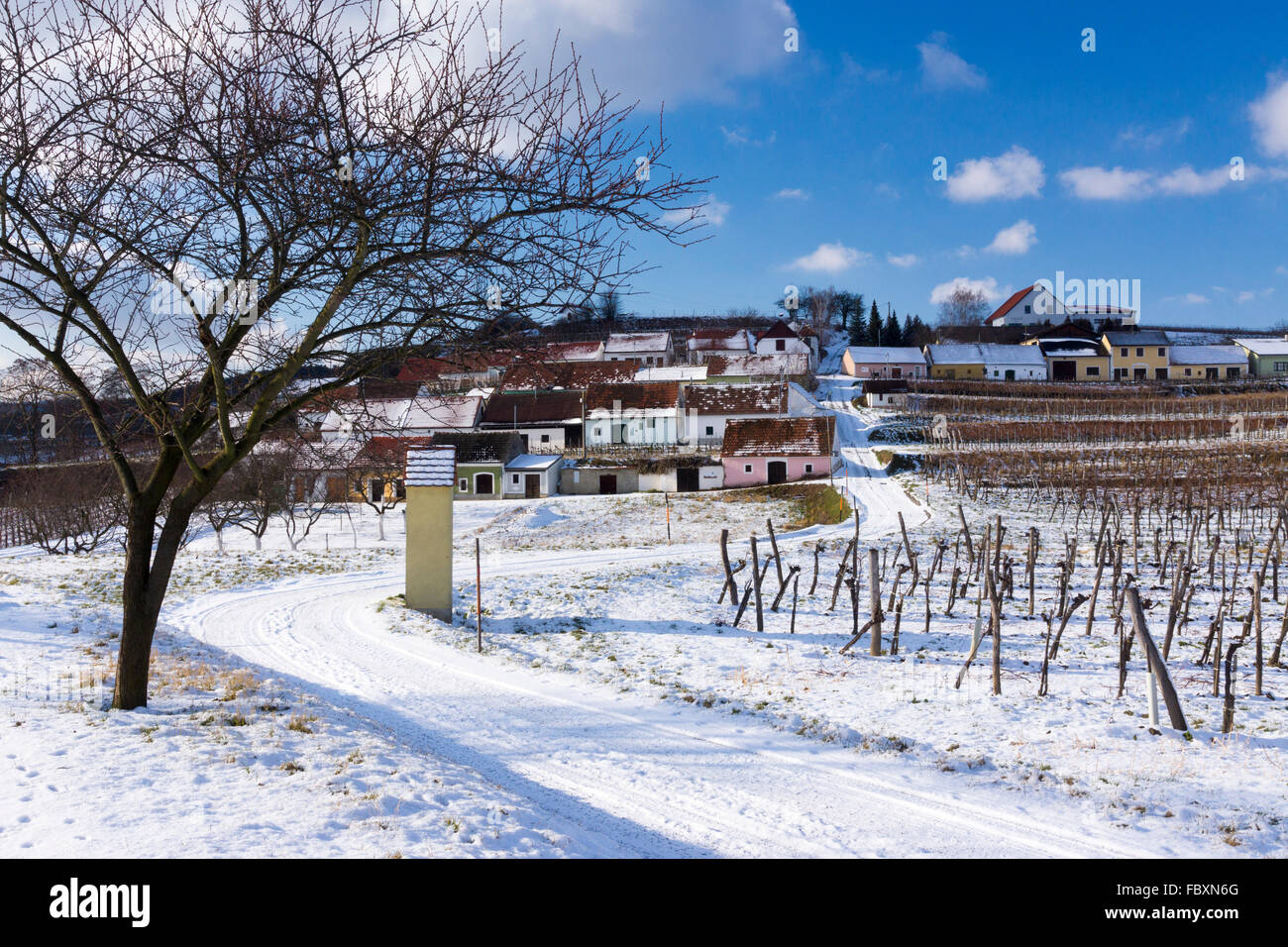 Coperta di neve Cantine Vigneti e un Marterl sul Mittelberg's Kellergasse in Kamptal Zona viticola dell'Austria Inferiore Foto Stock