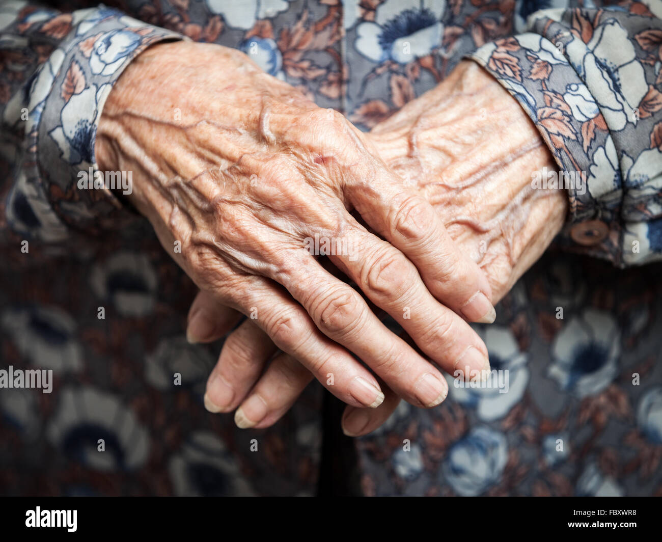 Molto vecchia donna mani Foto Stock