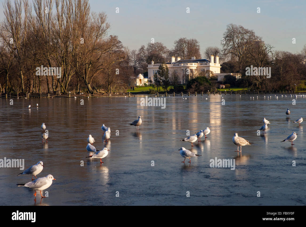 Una vista sul lago ghiacciato di Regents Park, Londra. La Holme mansion può essere visto in lontananza. Foto Stock