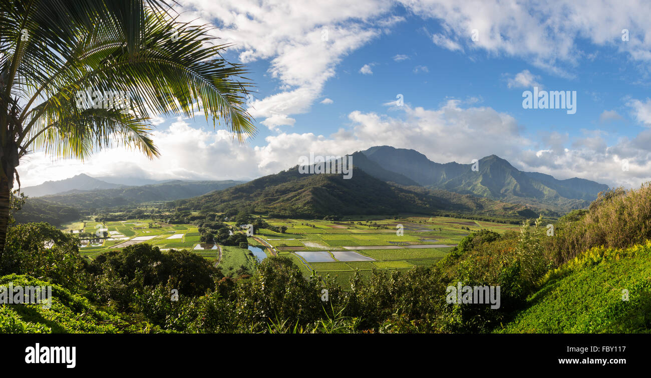 Valle di Hanalei da Princeville si affacciano Kauai Foto Stock