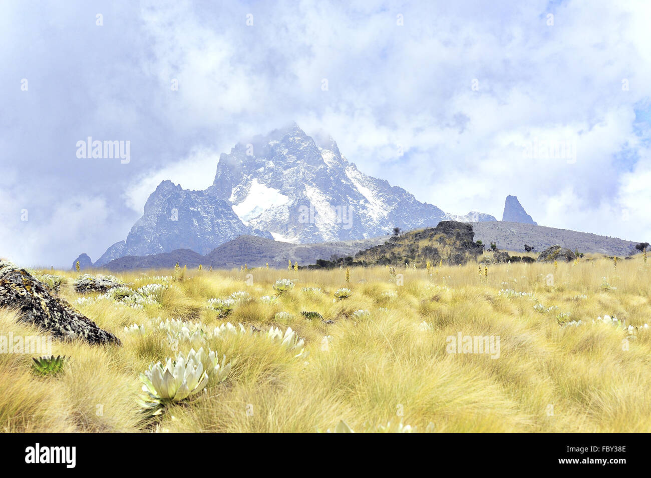 Il monte Kenia, Regione di vertice Foto Stock