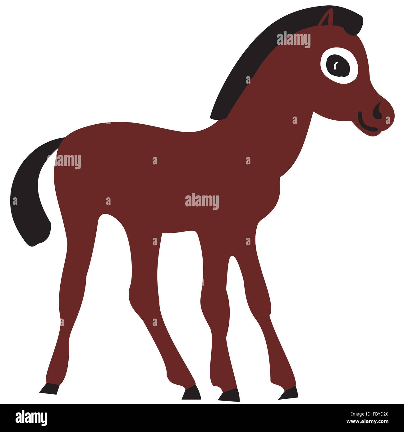 Il puledro Foto Stock