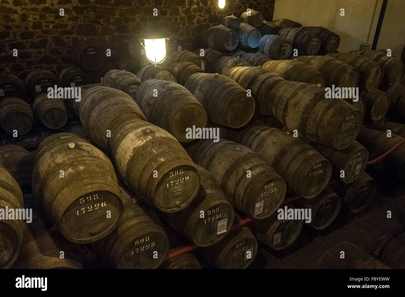 Il vino di Porto cantina in Vila Nova de Gaia, Portogallo Foto Stock