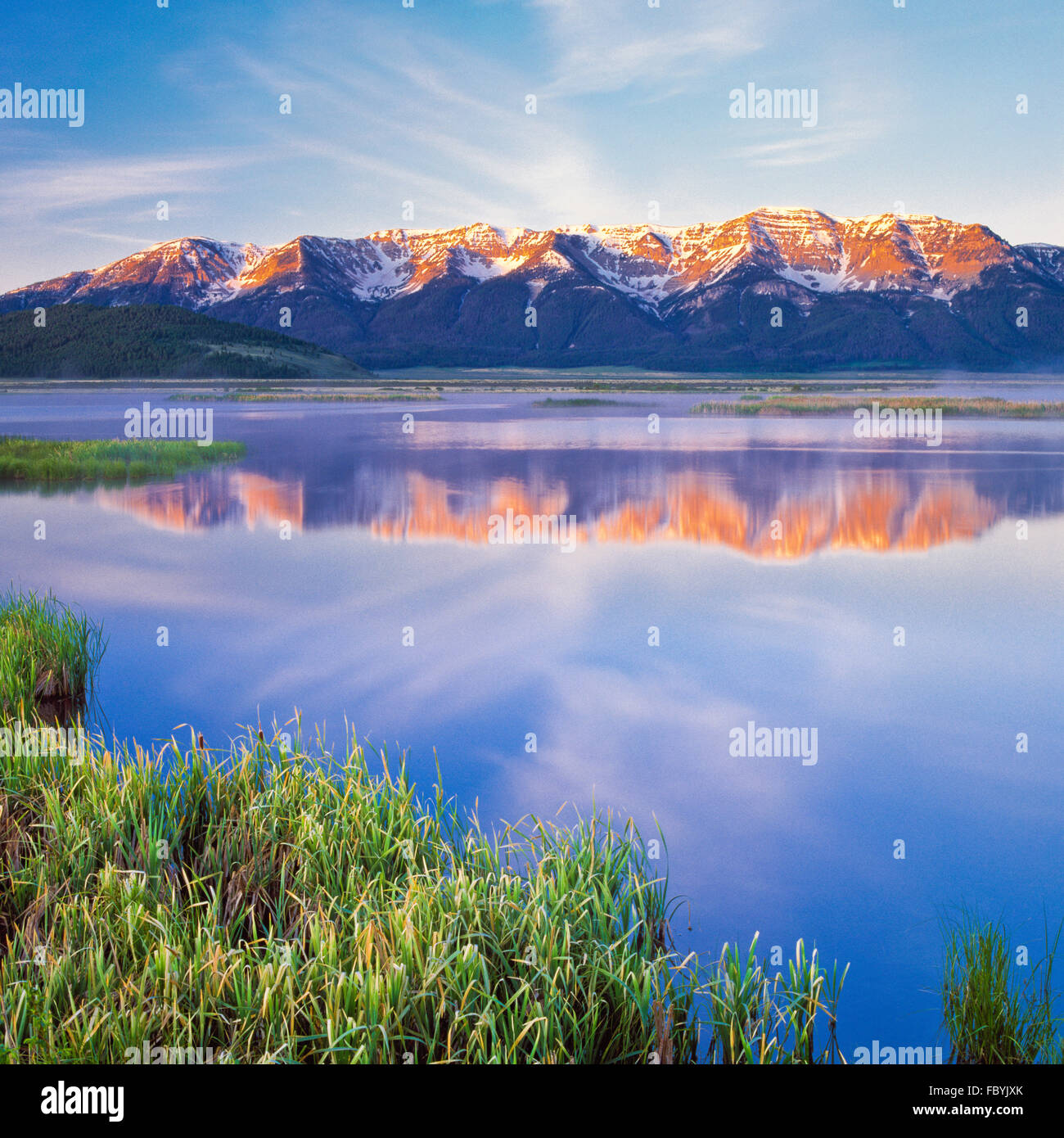 alba su laghetto di vedigioni a red rock laghi national wildlife rifugio sotto le montagne centenarie vicino lakeview, montana Foto Stock