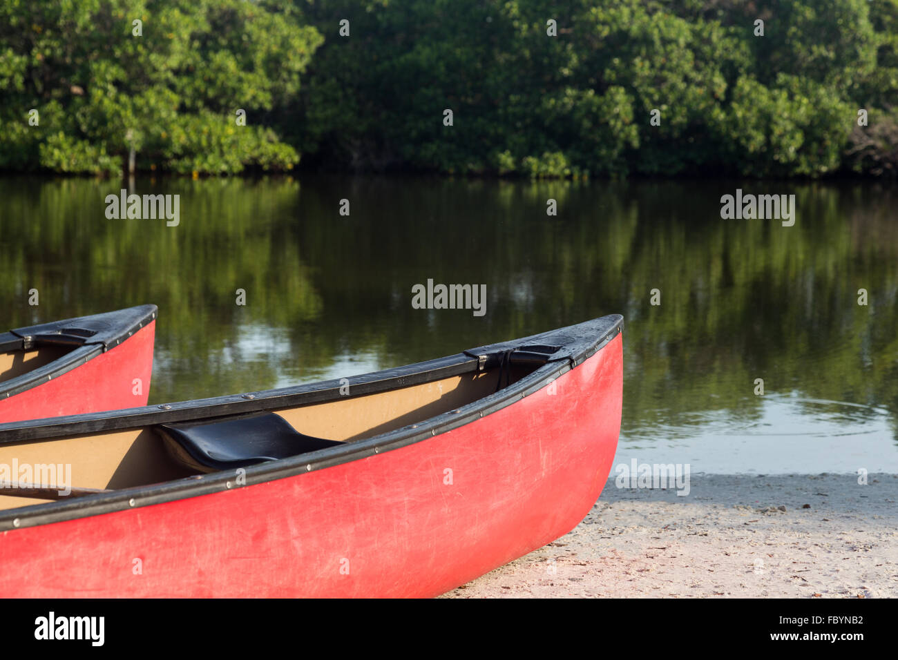 Prows o la parte anteriore di plastica due kayak o canoa Foto Stock