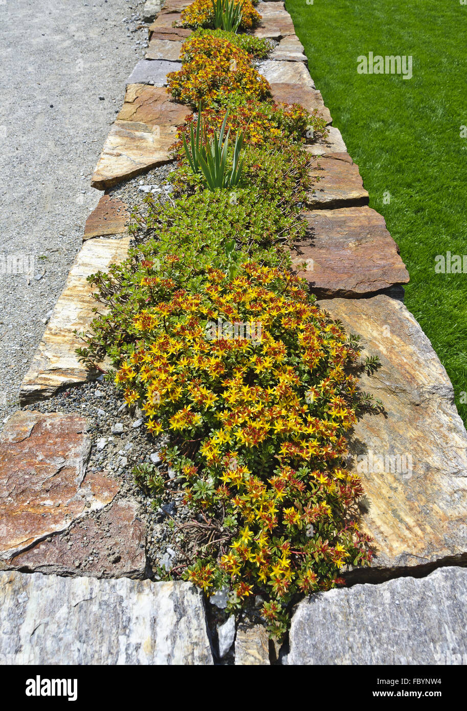 Muro di pietra naturale con piante Foto Stock