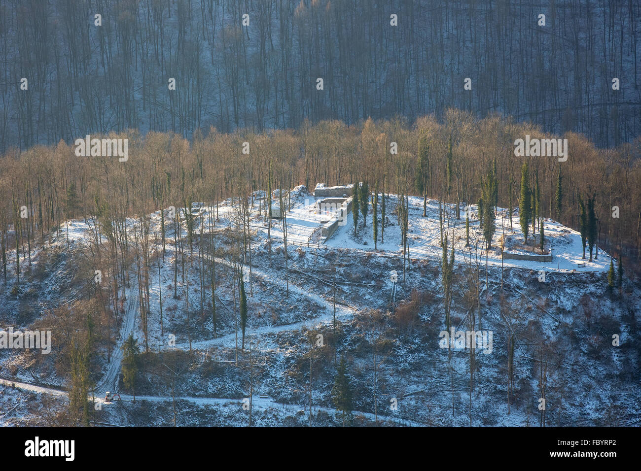 Vista aerea, la rovina del castello di sesso maschile nella neve, in inverno, neve Arnsberg, Sauerland, Renania settentrionale-Vestfalia, Germania, Europa, antenna Foto Stock