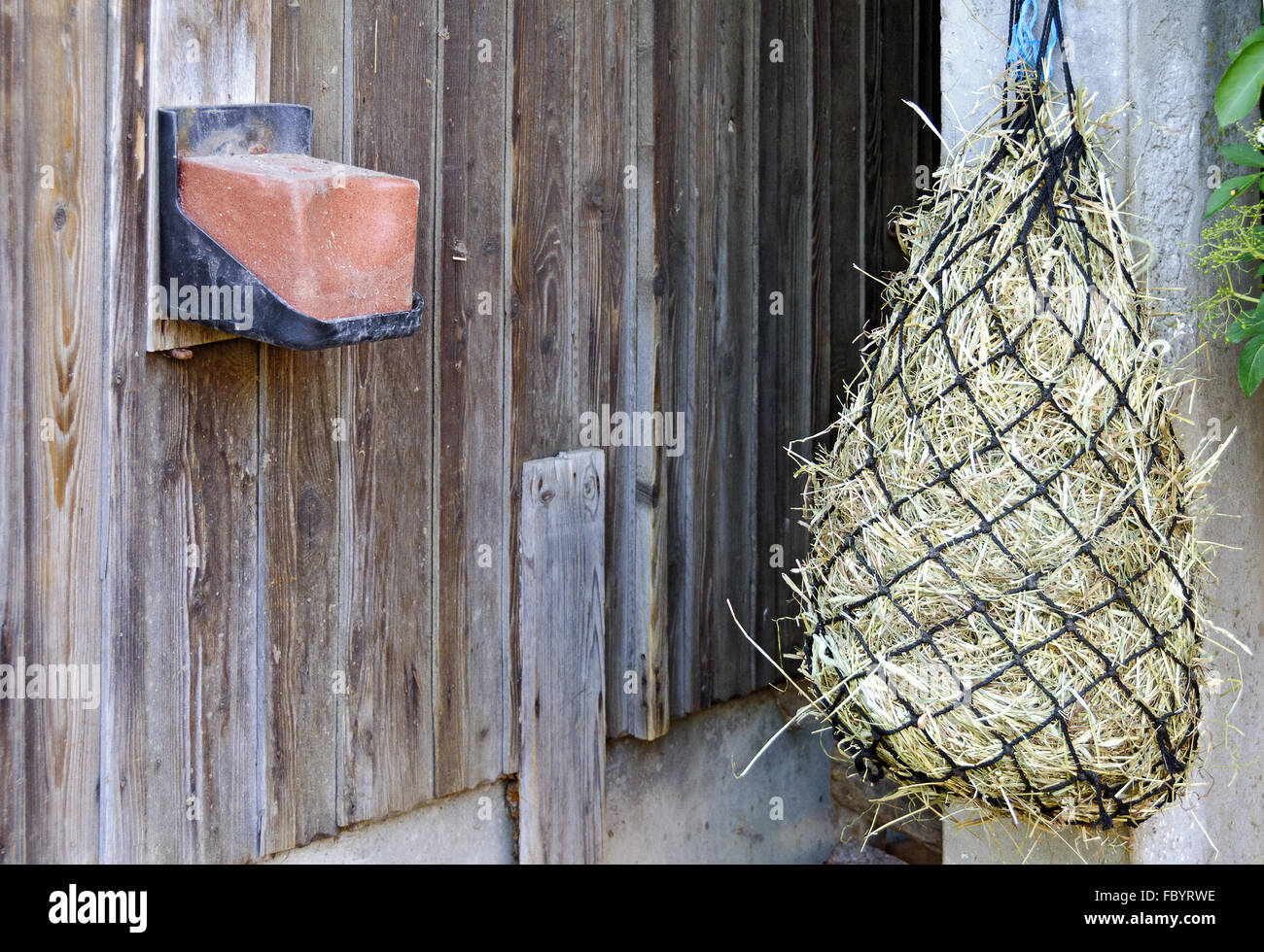 Red Salt Lick e foraggi net per cavalli Foto Stock