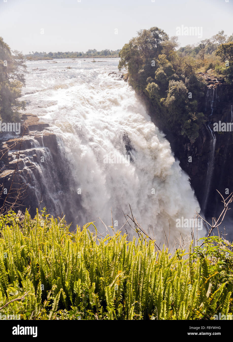 Victoria Falls - Devil's cataratta Foto Stock