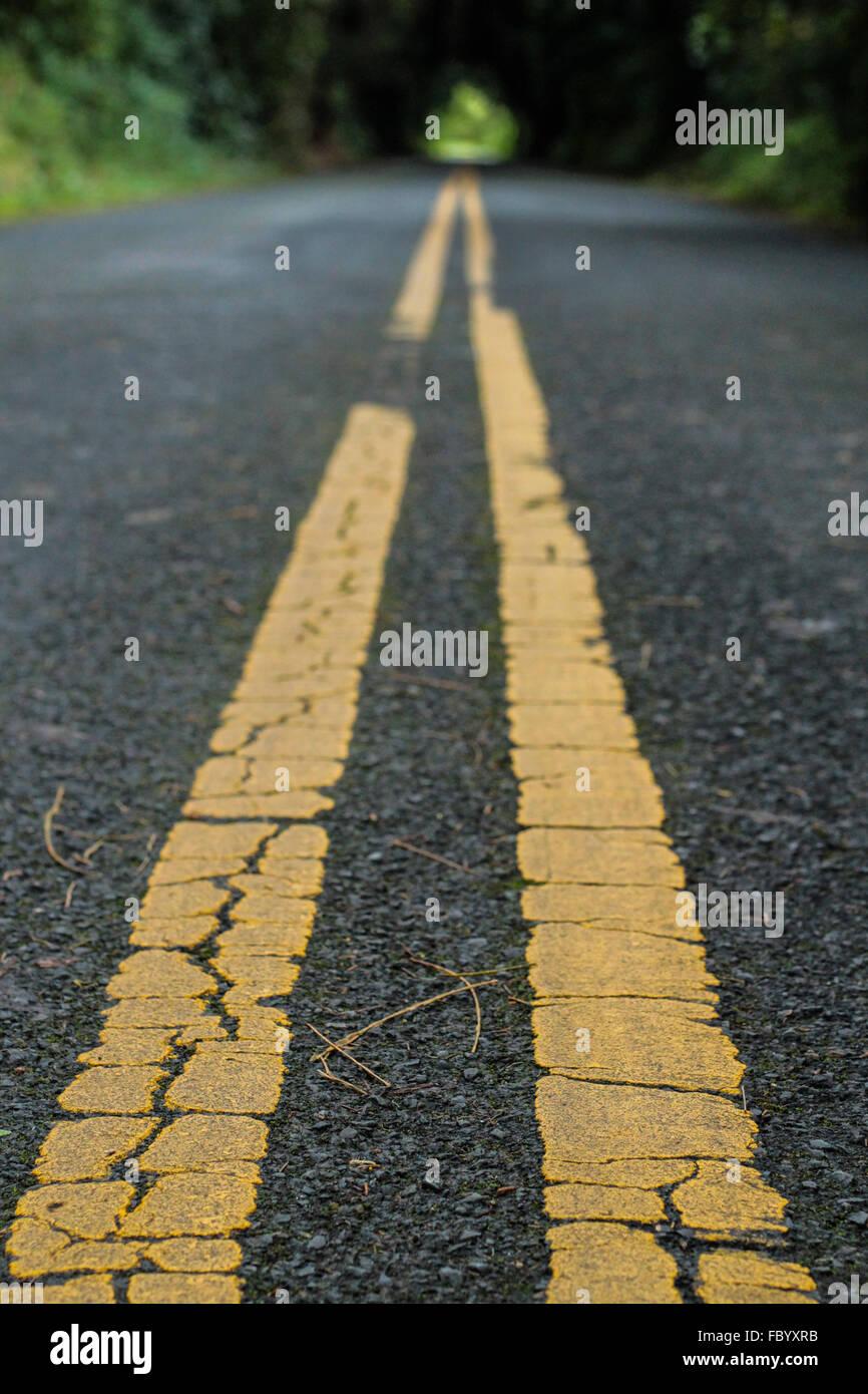 Principali linee su nu'uanu Pali di unità. Foto Stock
