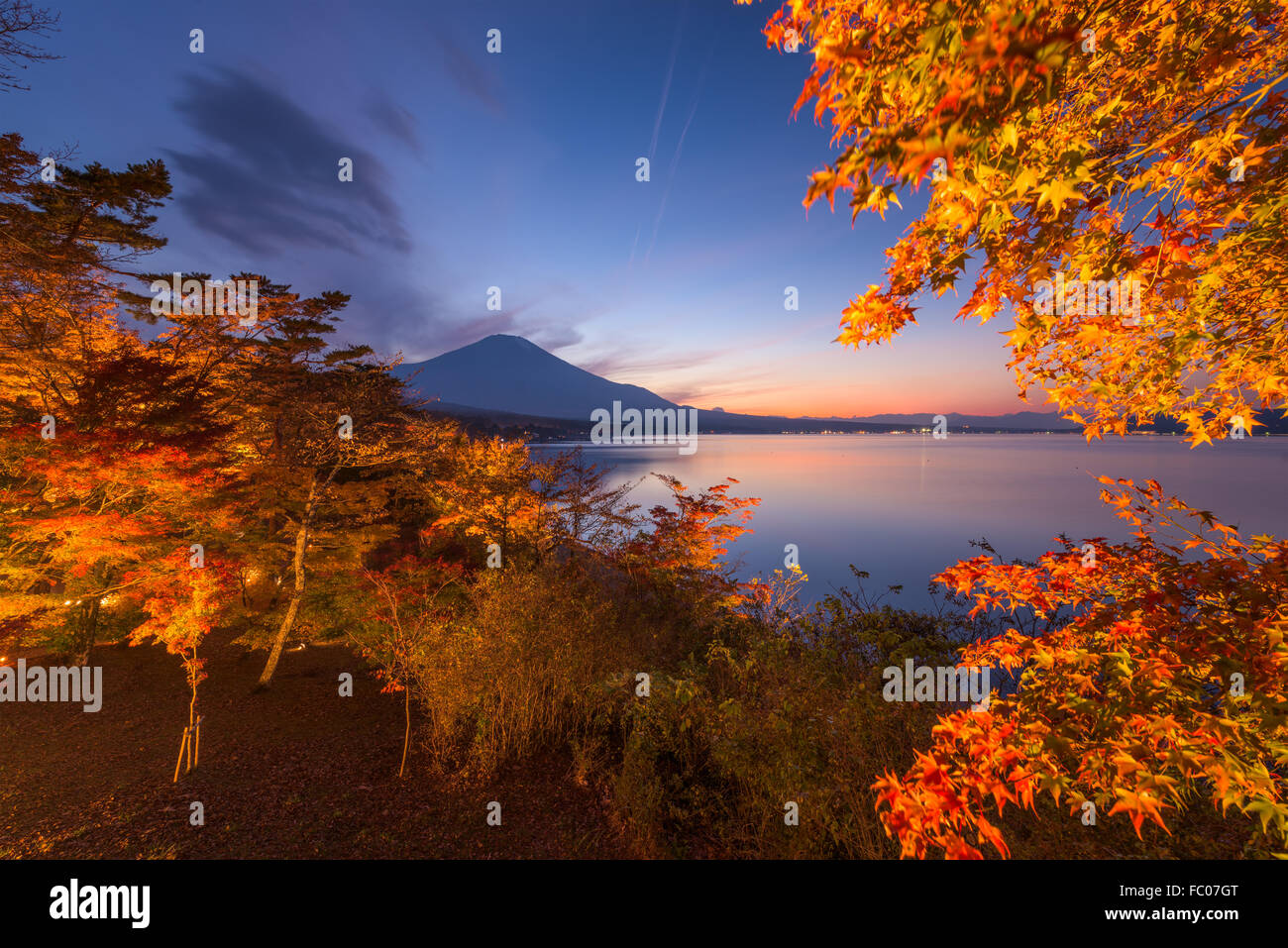Mt. Fuji, Giappone durante l'autunno dalla riva del lago Yamanaka. Foto Stock