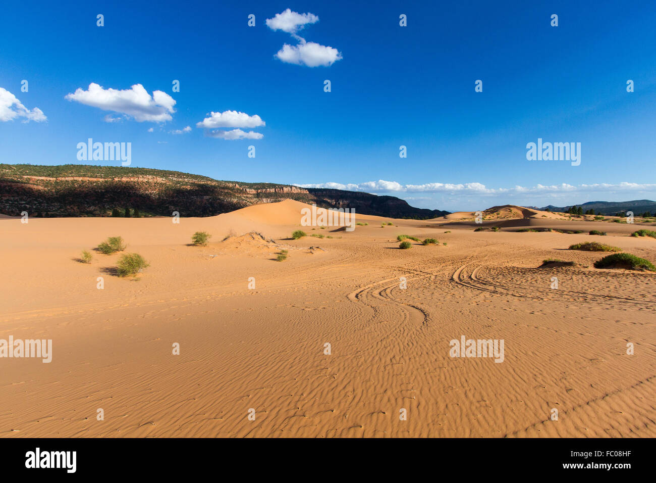 Coral Pink dune di sabbia 5 Foto Stock