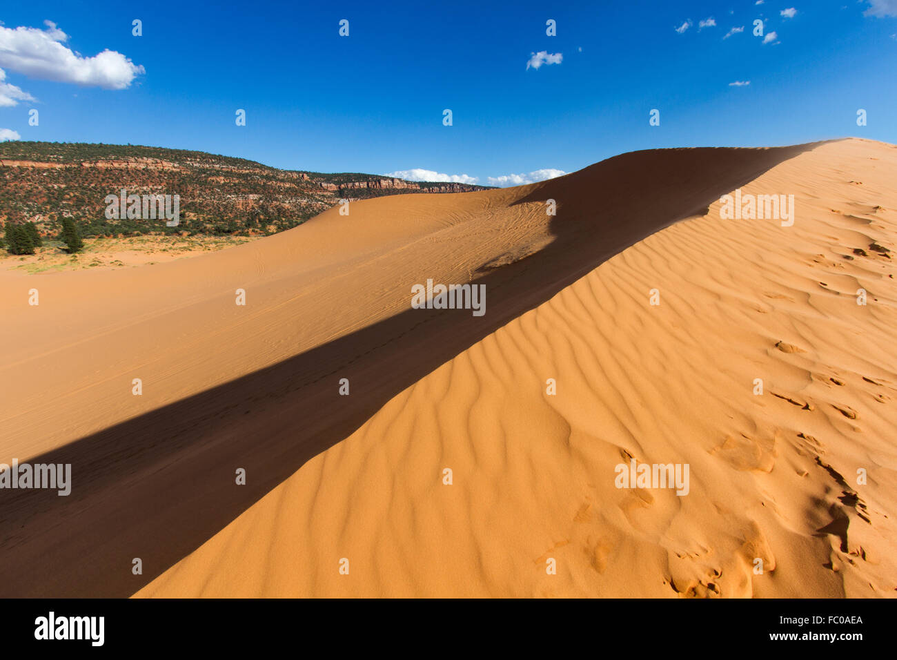 Coral Pink dune di sabbia 3 Foto Stock