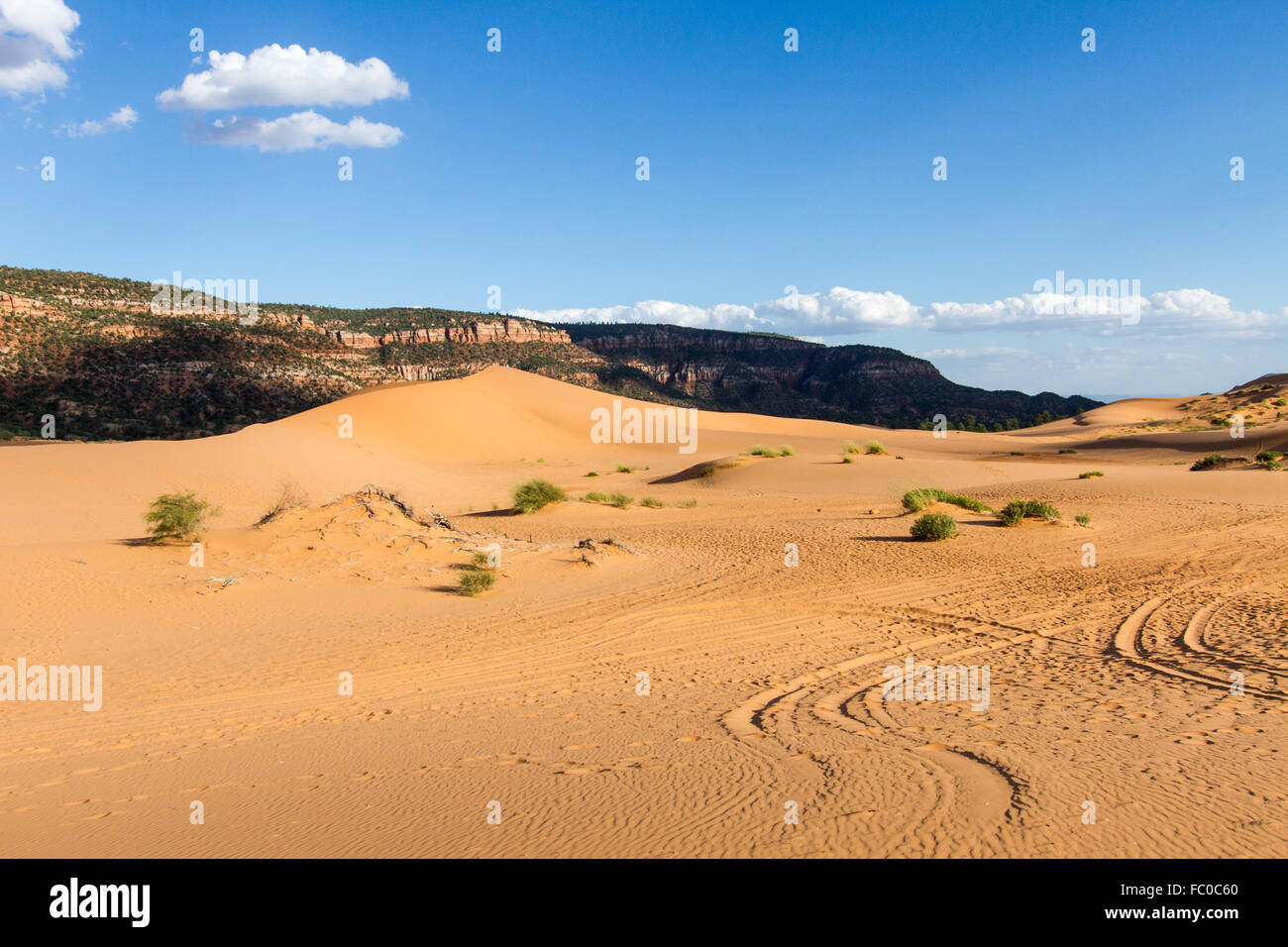 Coral Pink dune di sabbia 8 Foto Stock