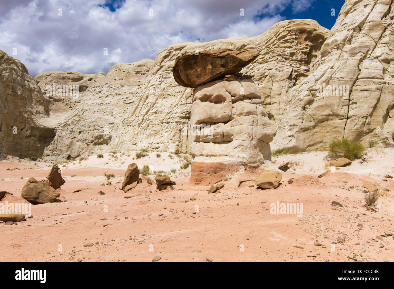 Toadstool Hoodoos 8 Foto Stock