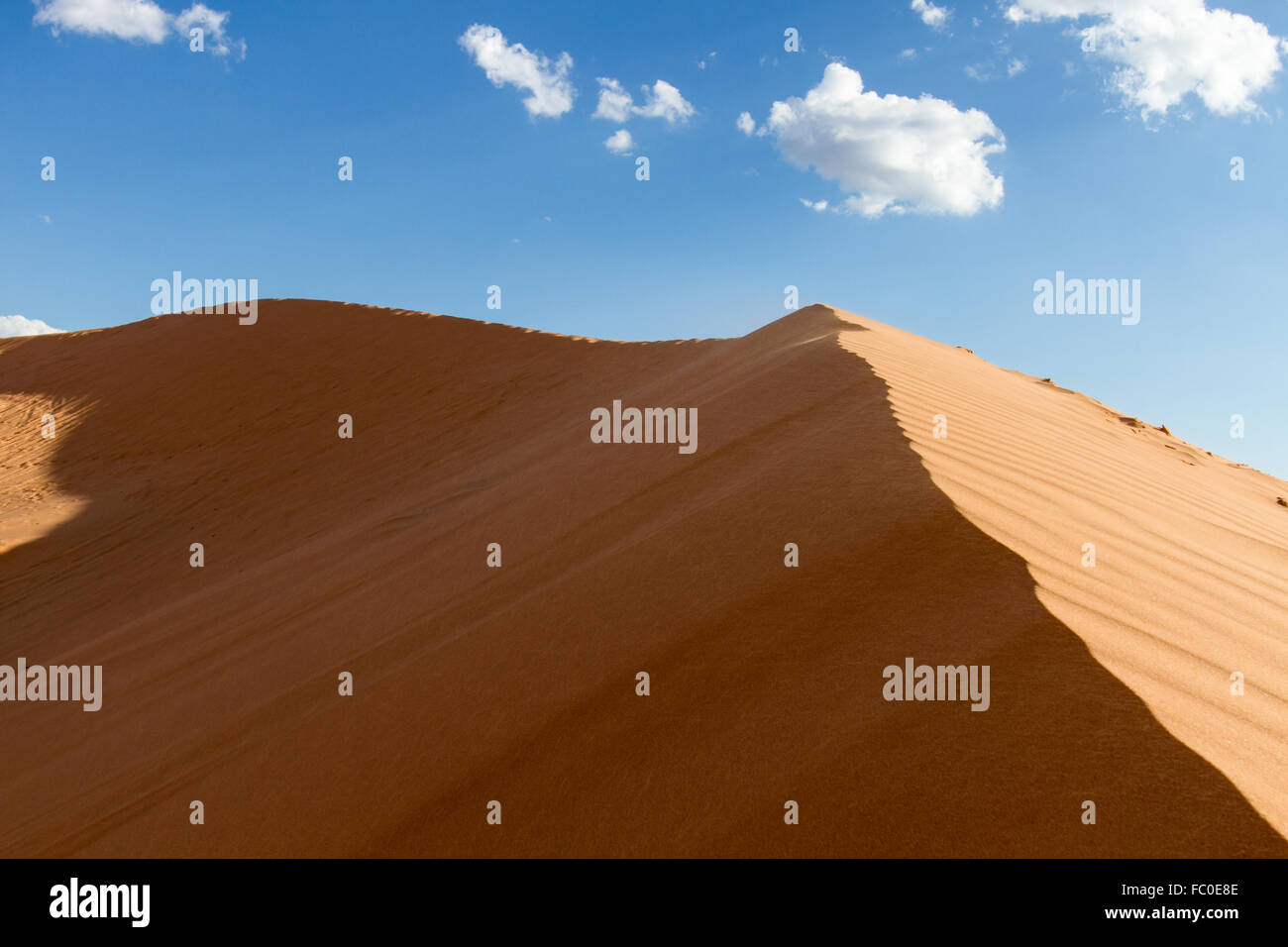 Coral Pink dune di sabbia 9 Foto Stock