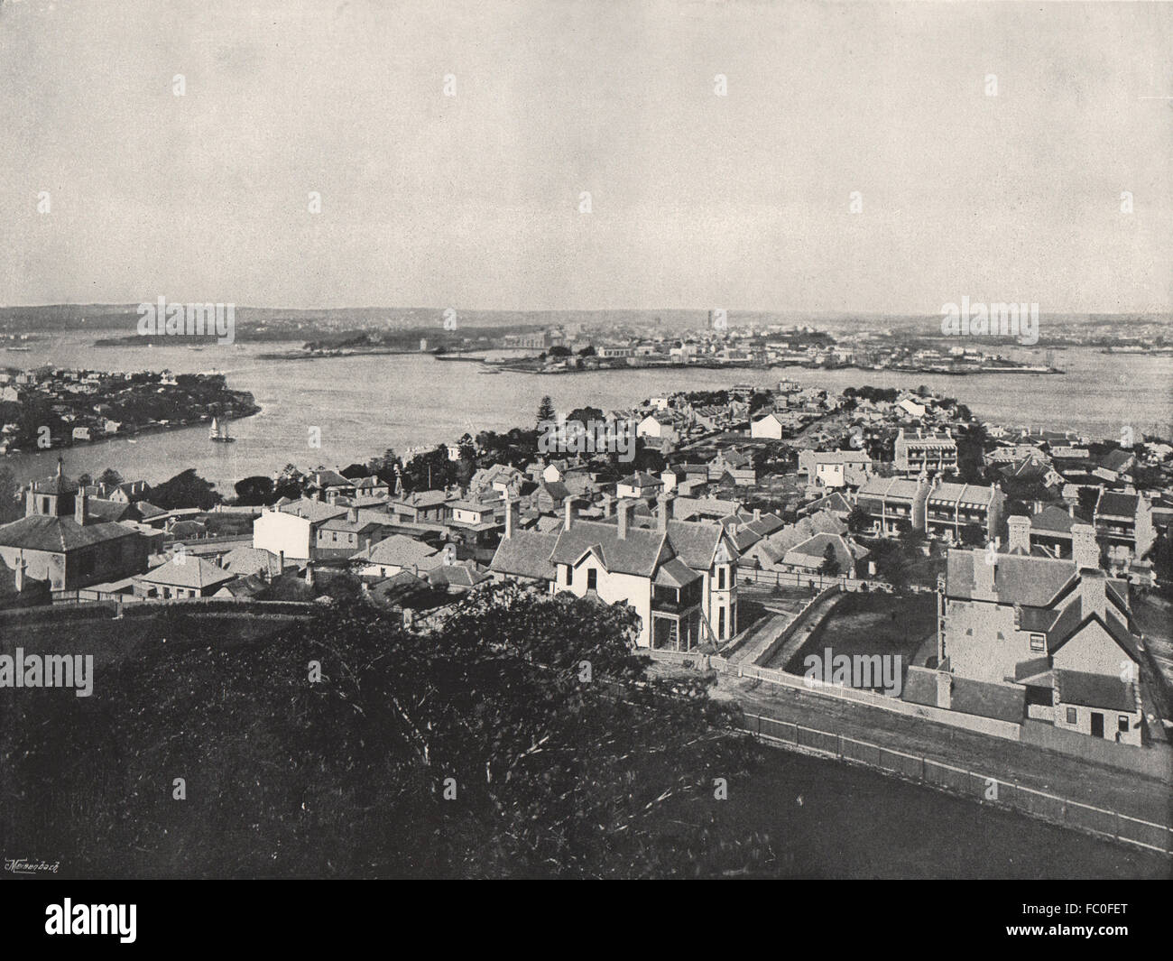 SYDNEY. Vista dal North Shore. Nuovo Galles del Sud, antica stampa 1895 Foto Stock