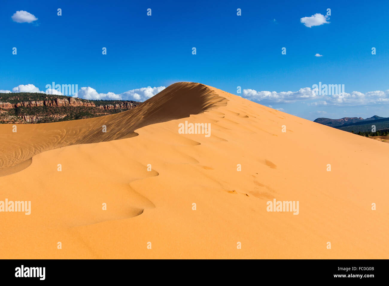 Coral Pink dune di sabbia 12 Foto Stock