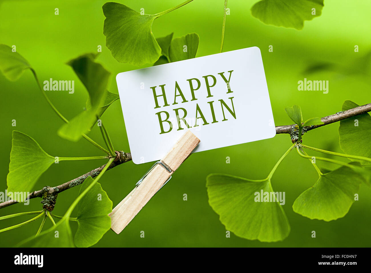 La parola "felice del cervello in un Ginkgo Tree Foto Stock