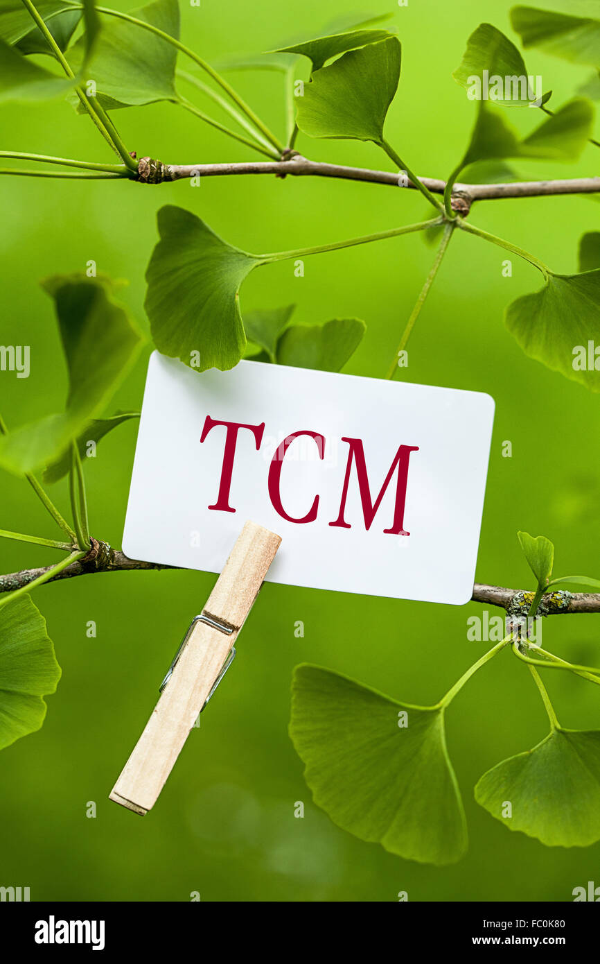 TCM (medicina tradizionale cinese) Foto Stock