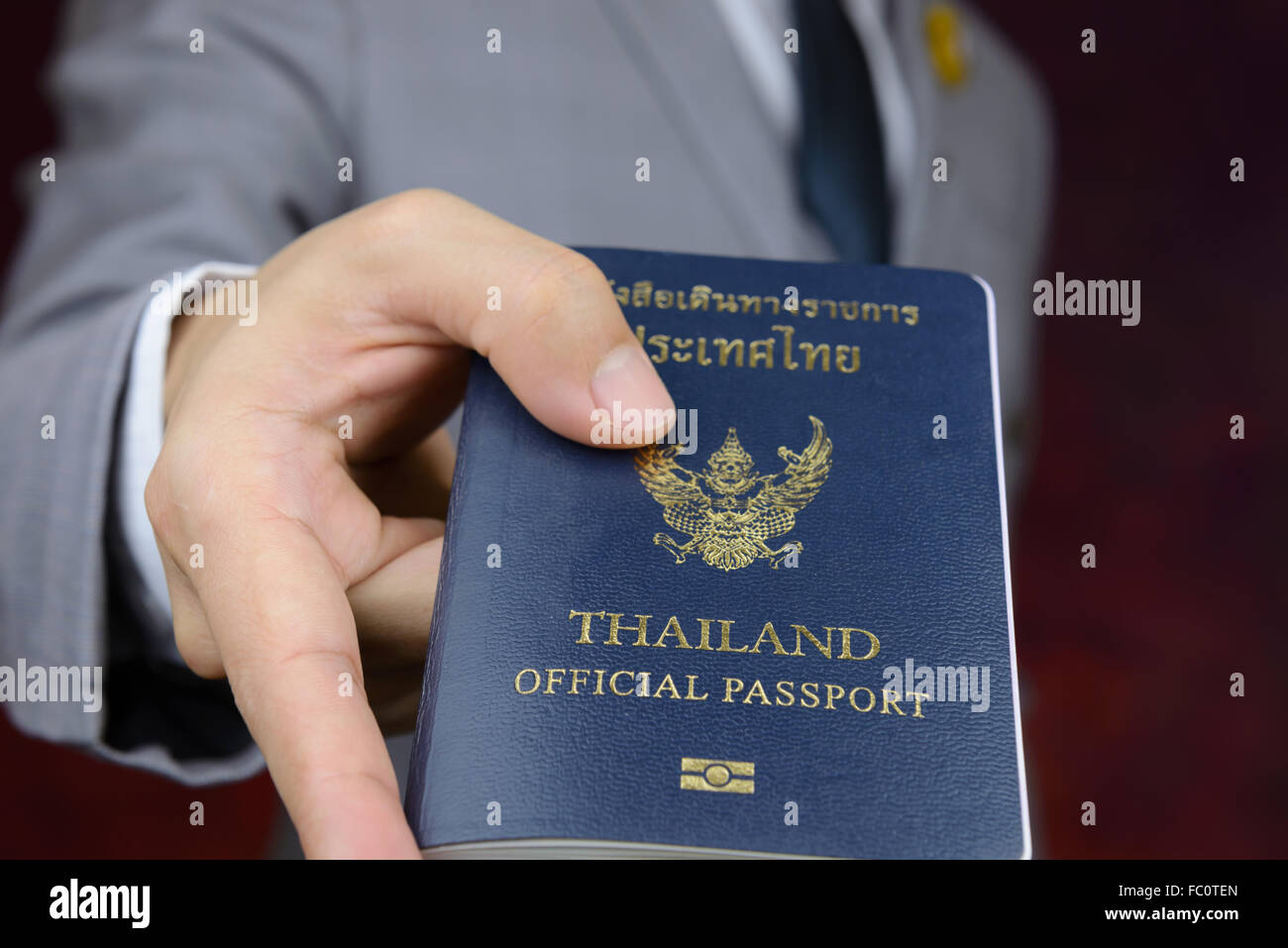 Imprenditore in abito grigio mostrando passaporto ufficiale di viaggiare a bordo, viaggio di lavoro Foto Stock