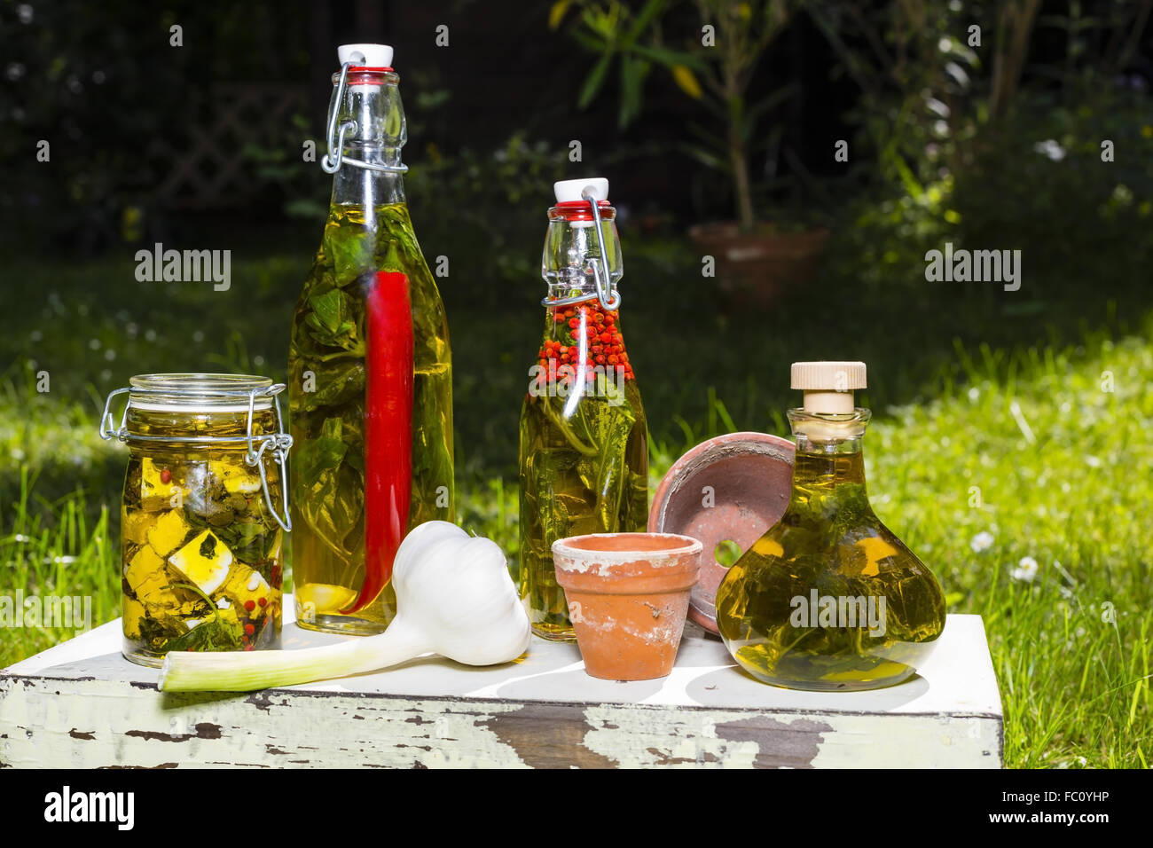 Bulbo aglio e olio di oliva con erbe aromatiche Foto Stock