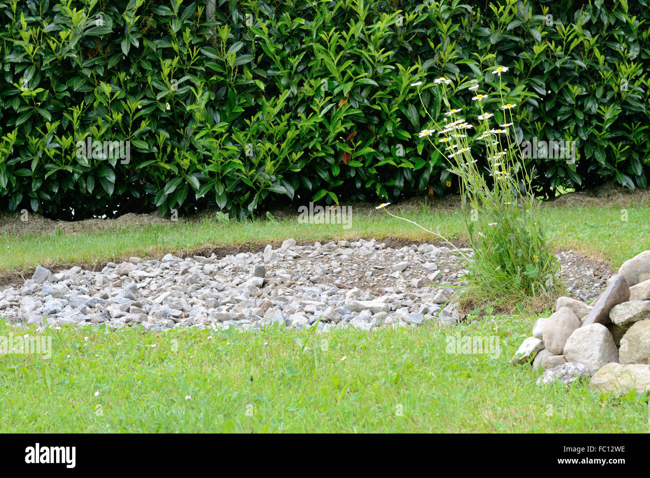 Costruzione a spirale di erbe nel tuo giardino Foto Stock