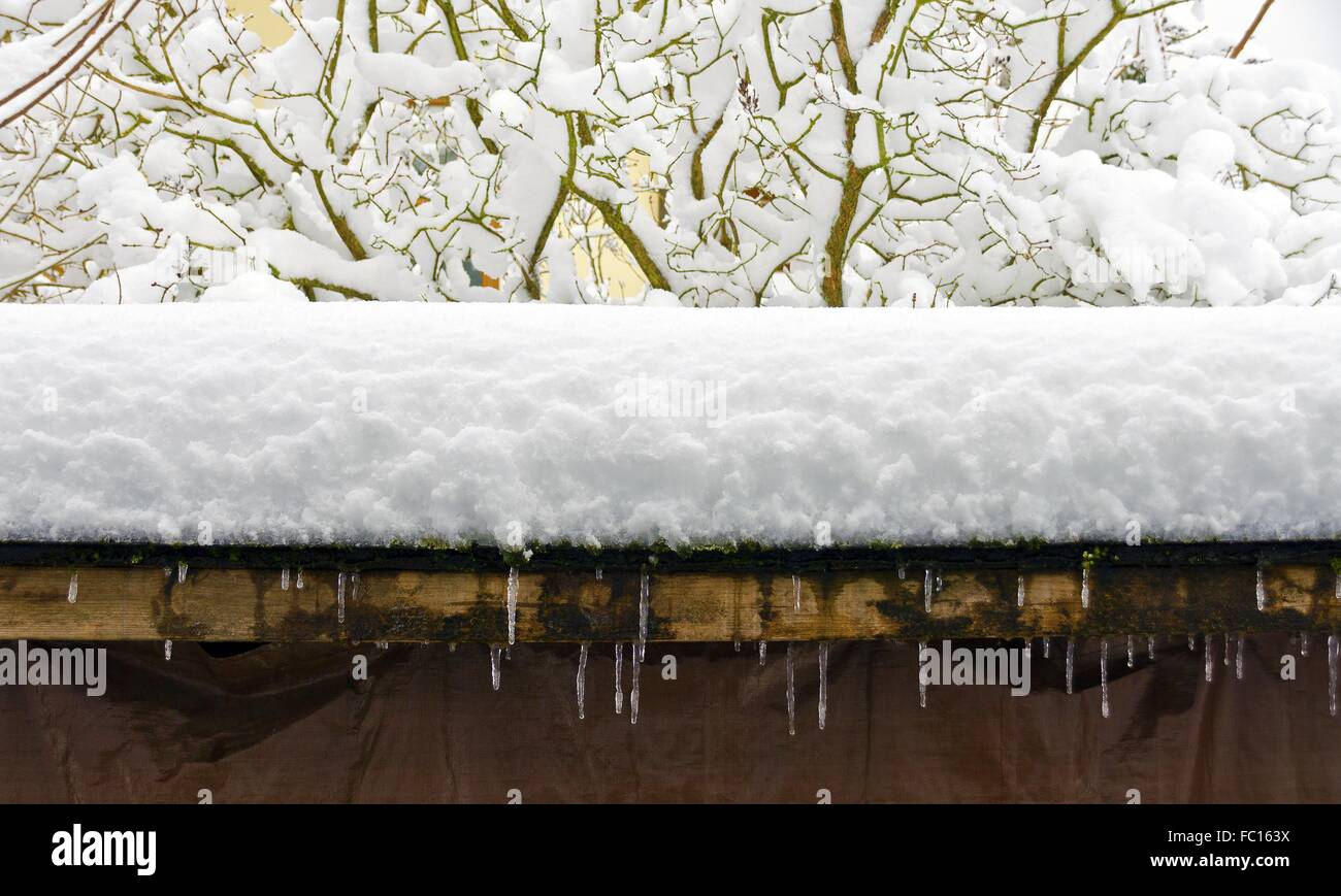 Neve sui ramoscelli e tetto in legno Foto Stock