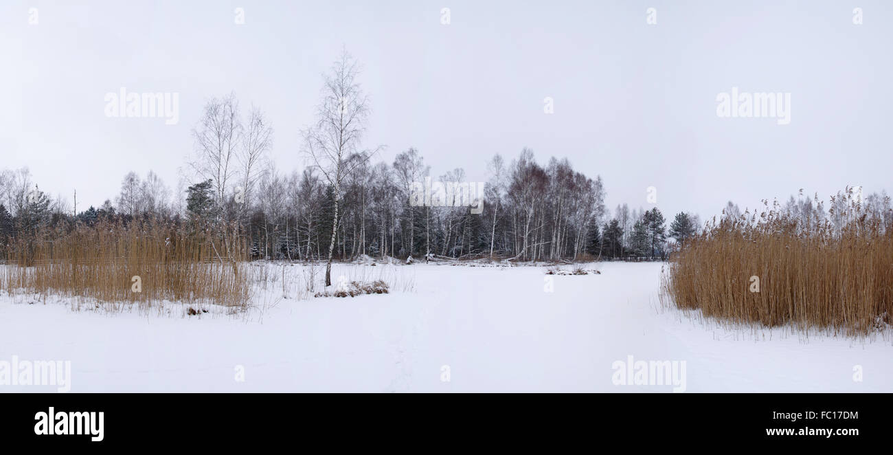 Paesaggio invernale Foto Stock