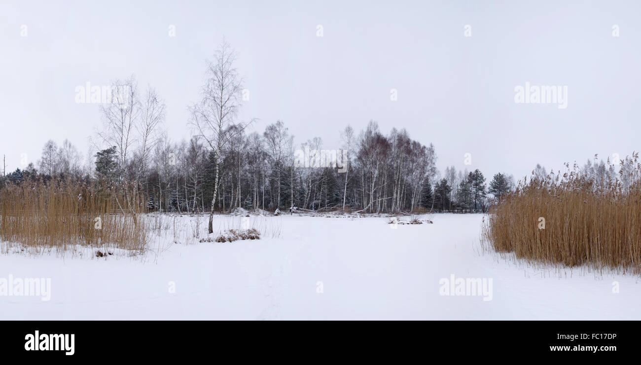 Paesaggio invernale Foto Stock
