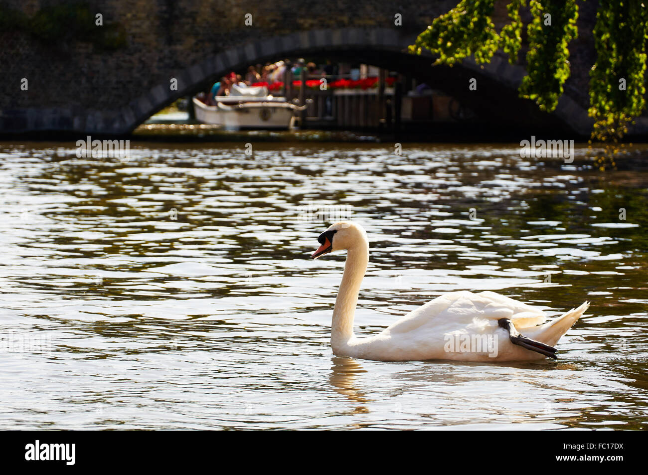 Canal a Bruges, Belgio Foto Stock