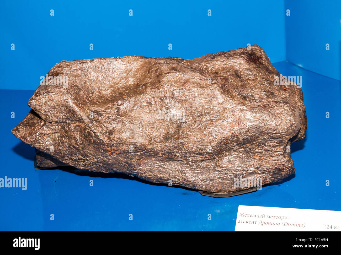 Ferro metallico meteorite . Foto Stock