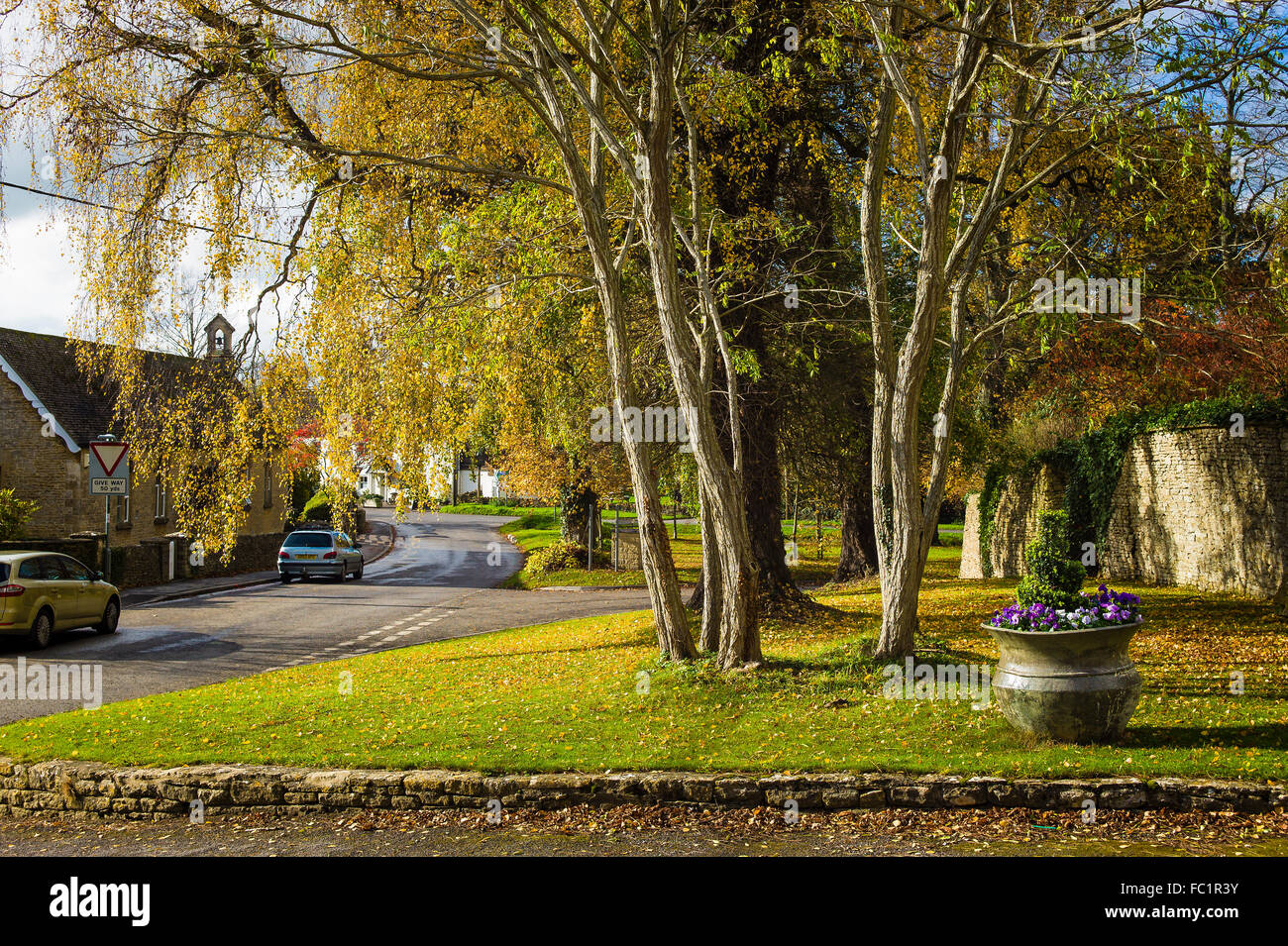 Il verde in Crudwell nell'autunno del Regno Unito Foto Stock