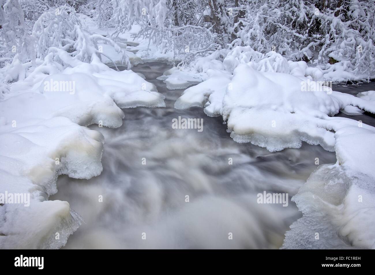 Acqua nel flusso di congelato. Snowy fiume nella foresta in inverno. Una lunga esposizione immagine HDR. Foto Stock