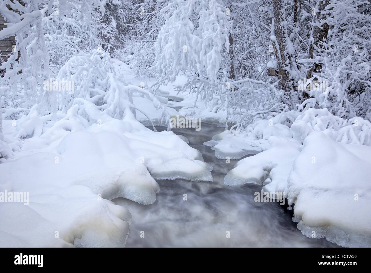 Acqua nel flusso di congelato. Snowy fiume nella foresta in inverno. Una lunga esposizione immagine HDR. Foto Stock