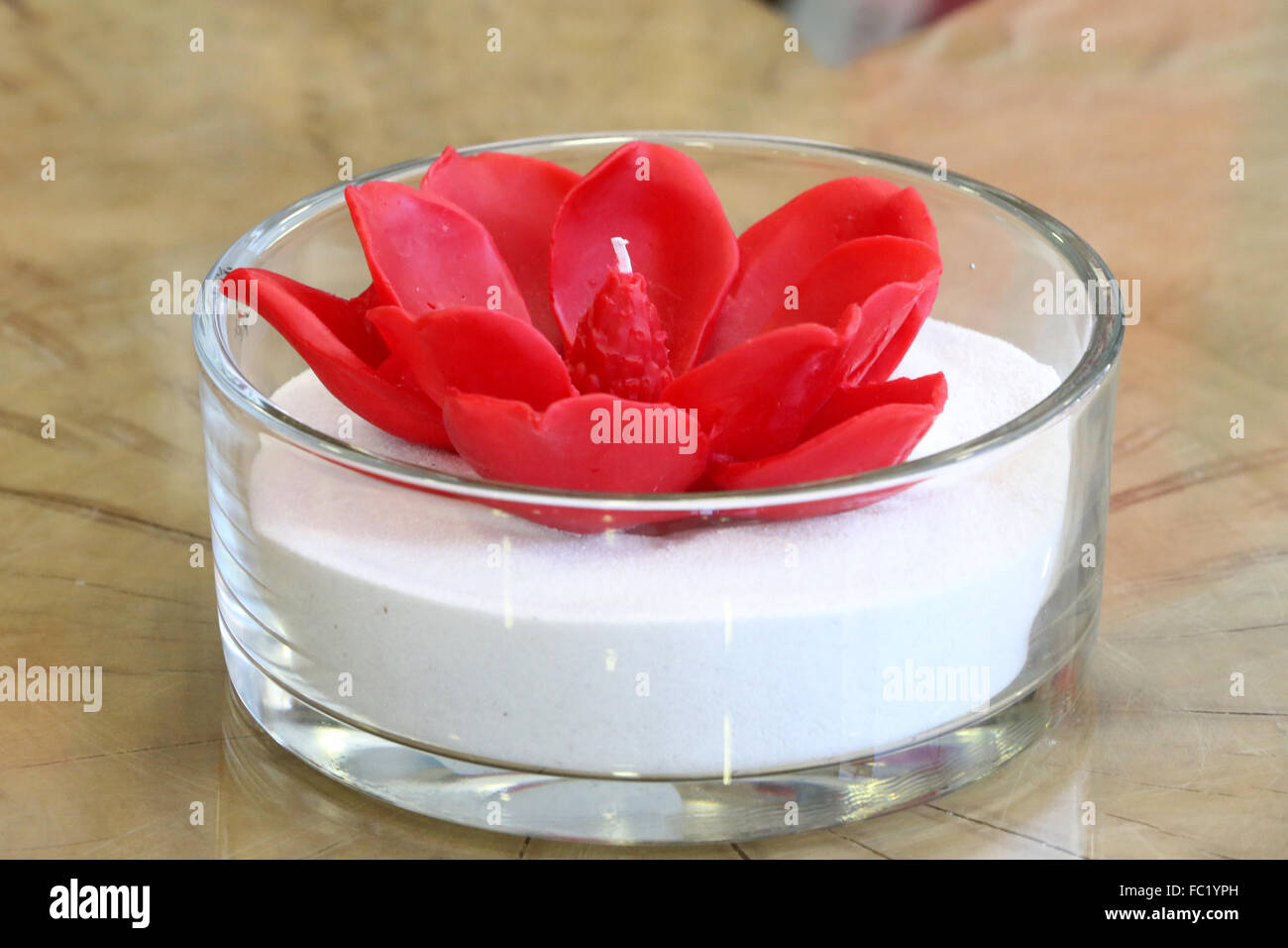 Fiore rosso candela. Foto Stock