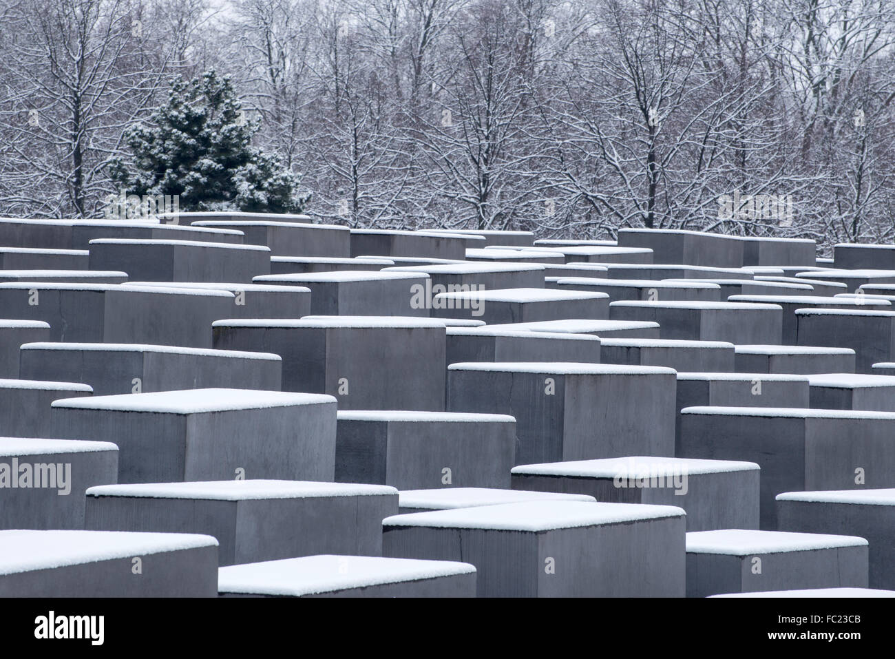 Colonne di cemento del monumento commemorativo dell'Olocausto, memorial, architetto Peter Eisenman, il Tiergarten, quartiere Mitte di Berlino, Germania Foto Stock