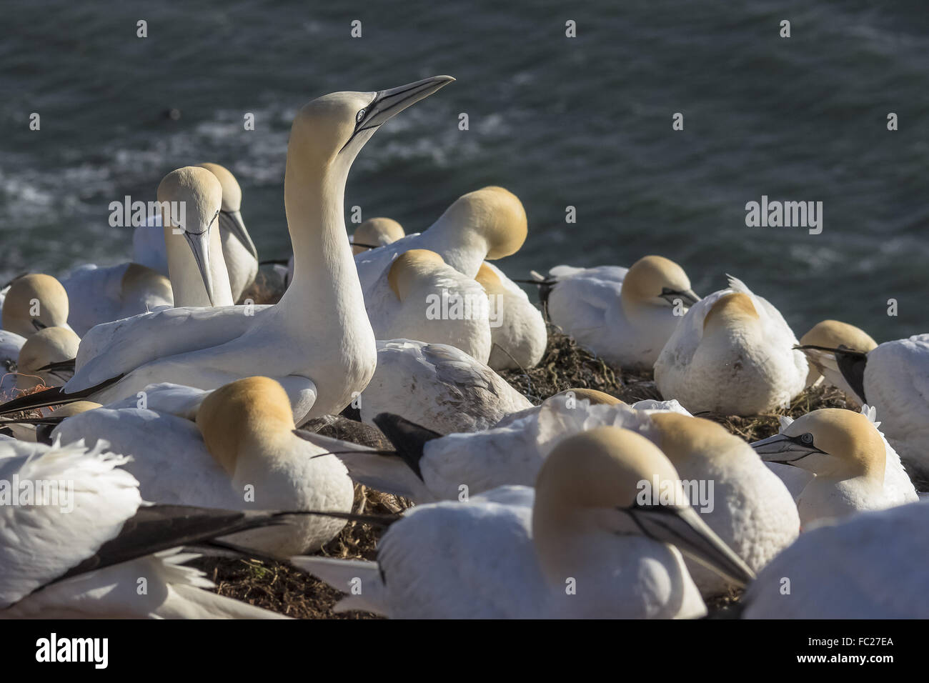 Tutto in un colpo d'occhio Foto Stock