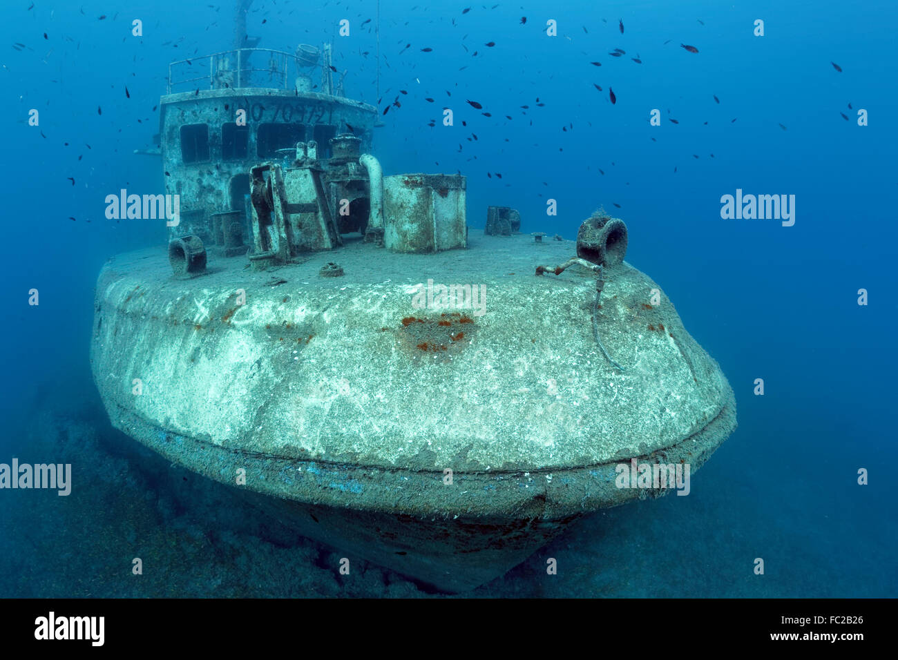 Naufragio Constandis, affondato per sommozzatori subacquei Dasoudi riserva, Limassol, Mediterraneo, Cipro Foto Stock
