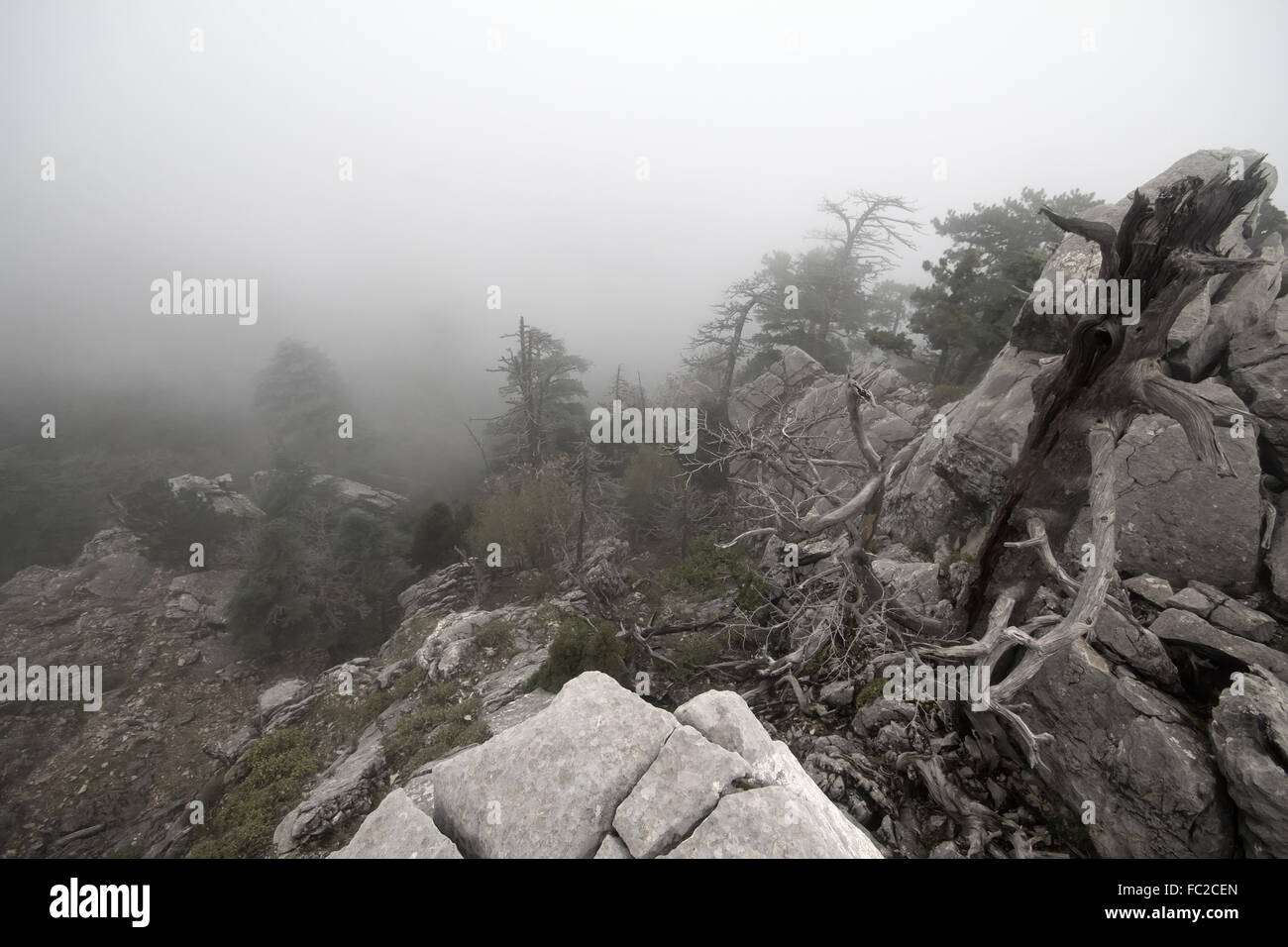 Cima della montagna nella nebbia Foto Stock