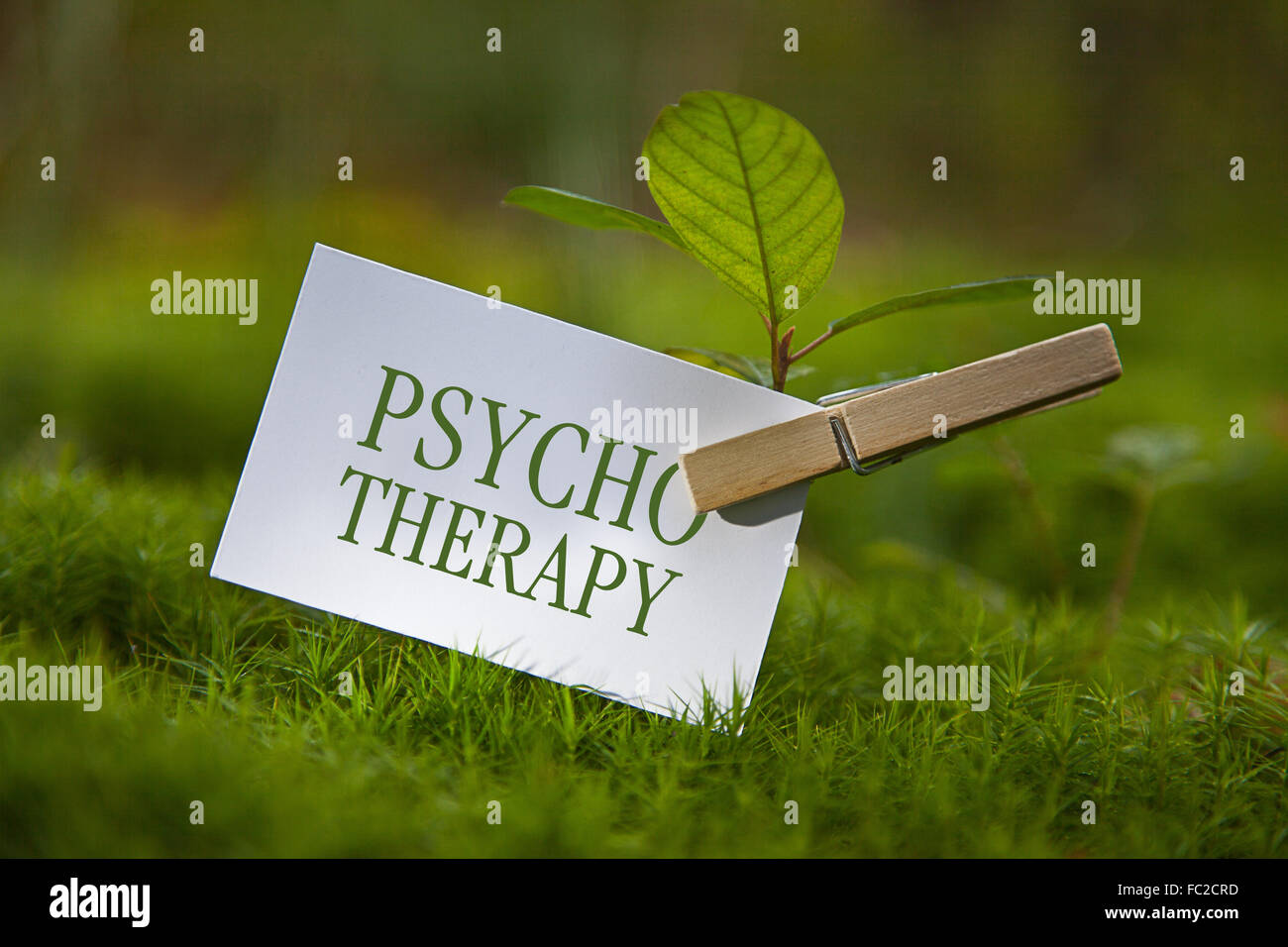 La parola "psicoterapia con una piantina Foto Stock