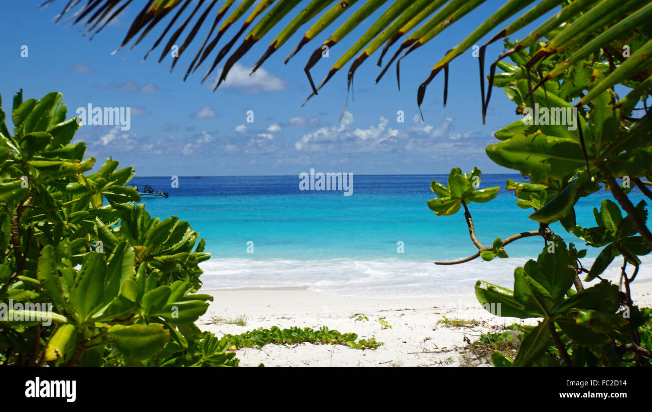 Calda giornata di sunny beach Foto Stock